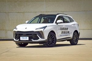 لاماری ایما هیبریدی