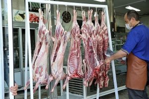 گوشت تنظیم بازار