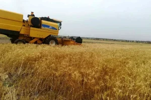 تسویه مطالبات