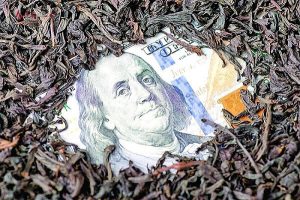 گروه شرکت‌های دبش